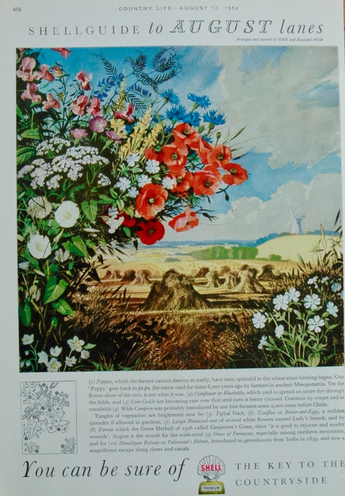 Shell Advert from Country Life, 1954