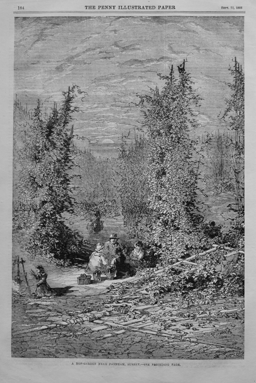 A Hop-Garden near Farnham, Surrey.  1866.