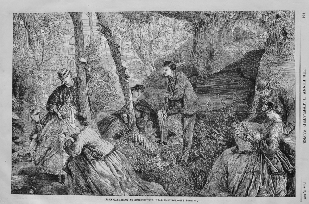 Fern Gathering at Ecclesbourne, near Hastings.  1866.