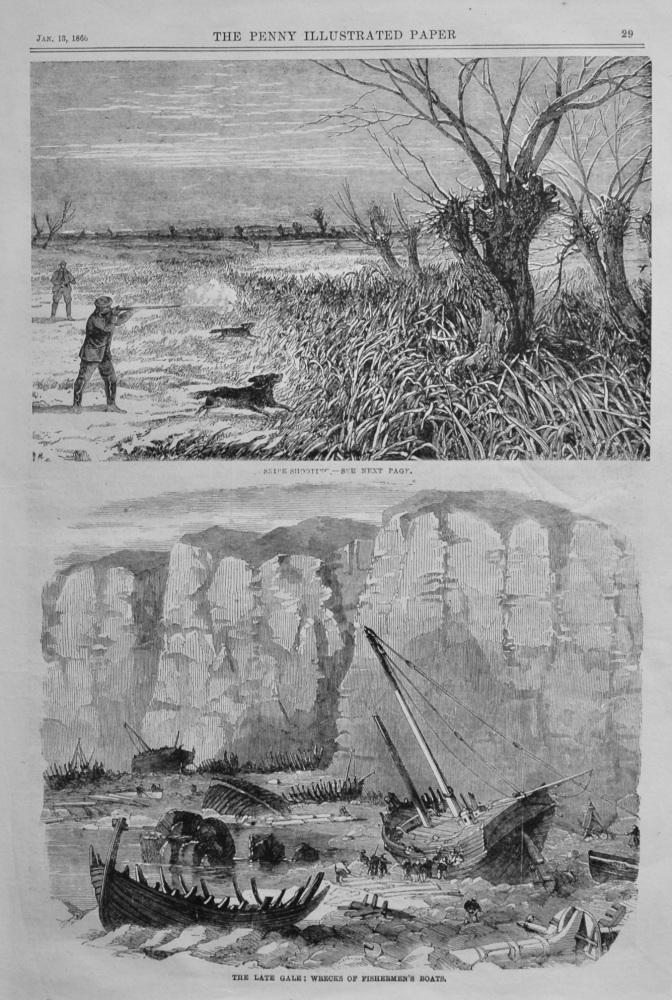 Snipe Shooting.  1866.