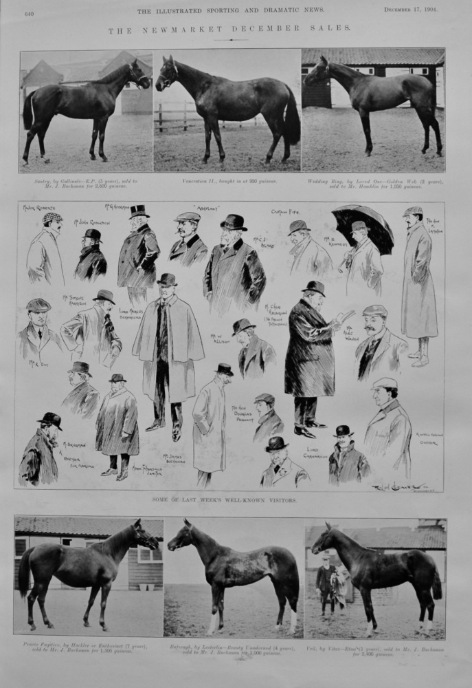 The Newmarket December Sales.  1904.