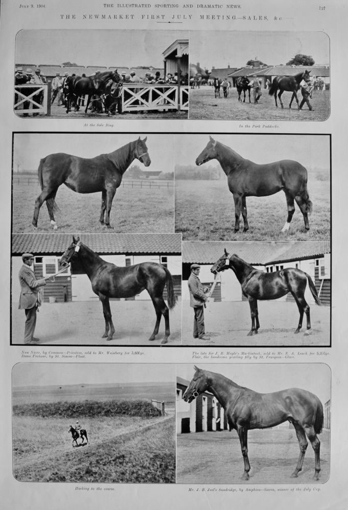 Newmarket First July Meeting.- Sales, &c.  1904.