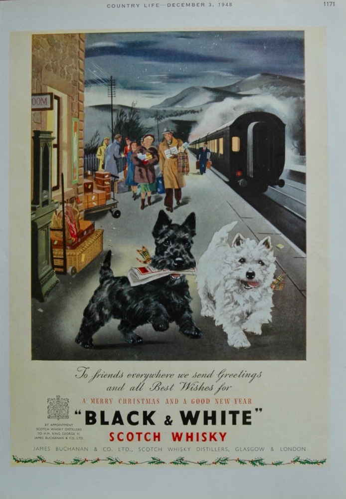 Black and White Whisky Advert
