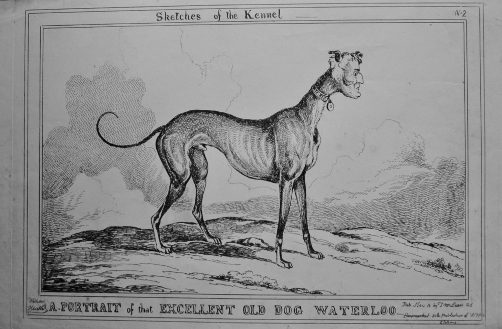 Sketches of the Kennel : A Portrait of that Excellent Old Dog Waterloo. (Wi