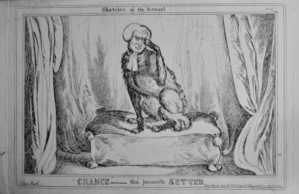 Sketches of the Kennel : Chance- the favourite Settet.  (William Heath)  18