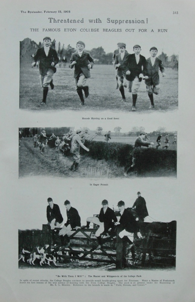 Threatened with Suppression! : The Famous Eton College Beagles out for a Run.  1908.