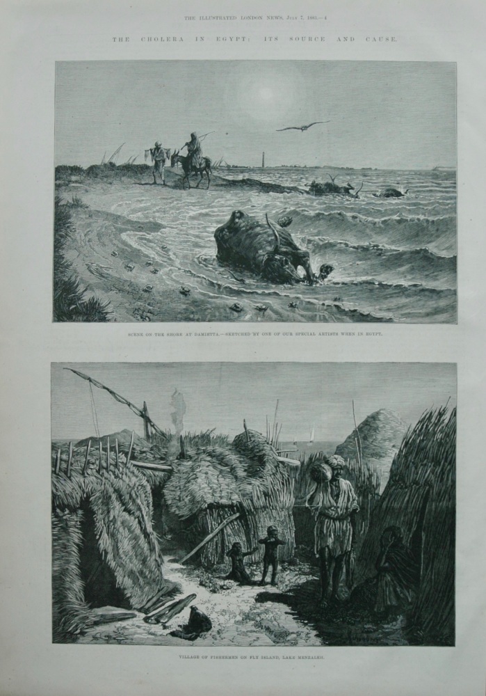 The Cholera in Egypt -  its Source and Cause.  1883.