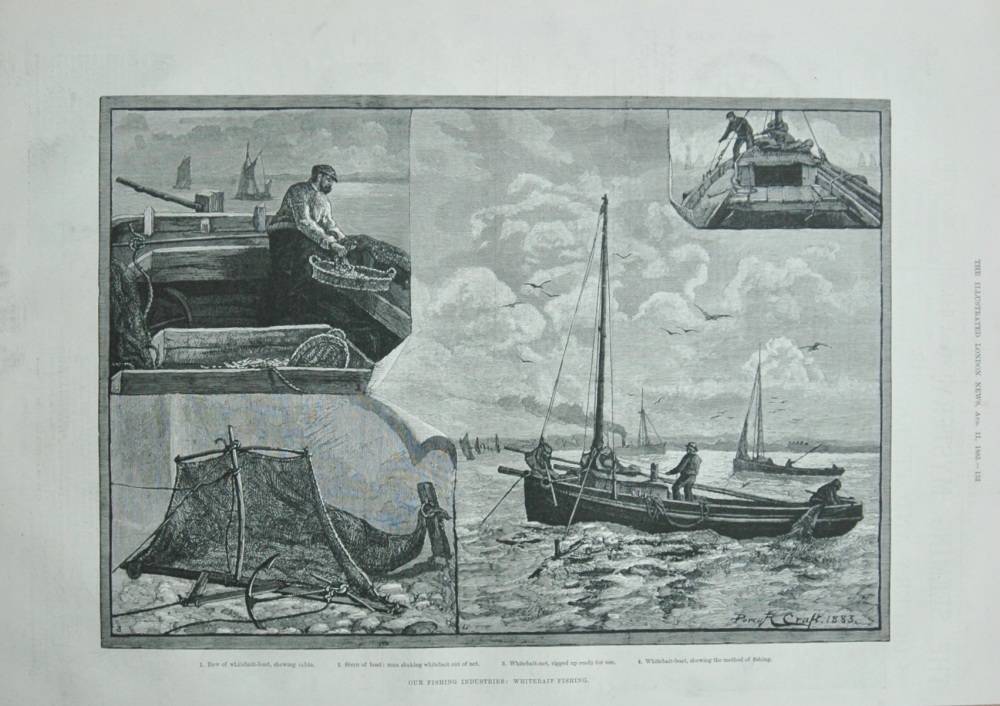 "Whitebait Fishing, 1883"