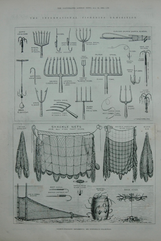 Salmon-Poaching Implements : Mr. Fennell's Collection, from the iNternational Fisheries Exhibition.  1883