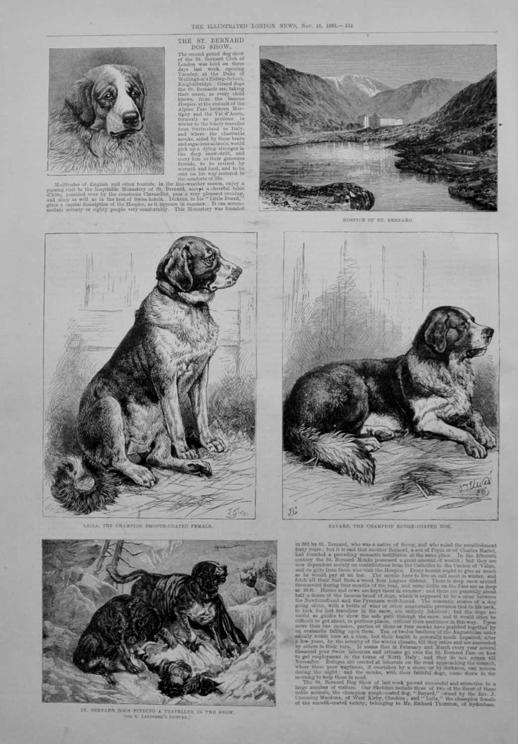 St Bernard Dog Show - 1883