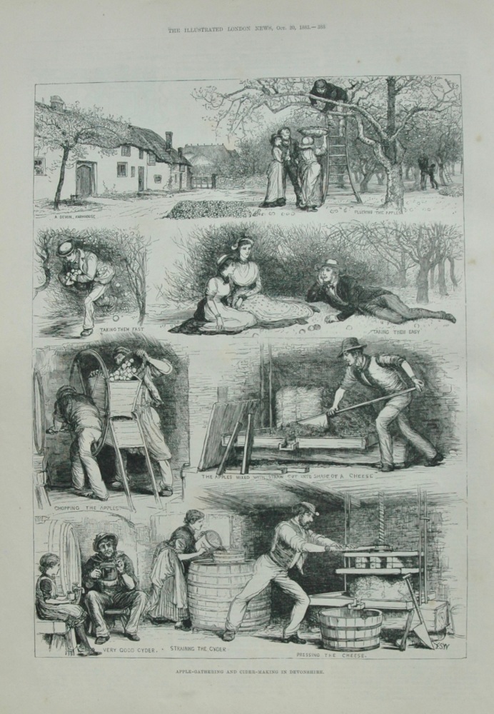 Apple-Gathering  and Cider-making in Devonshire - 1883