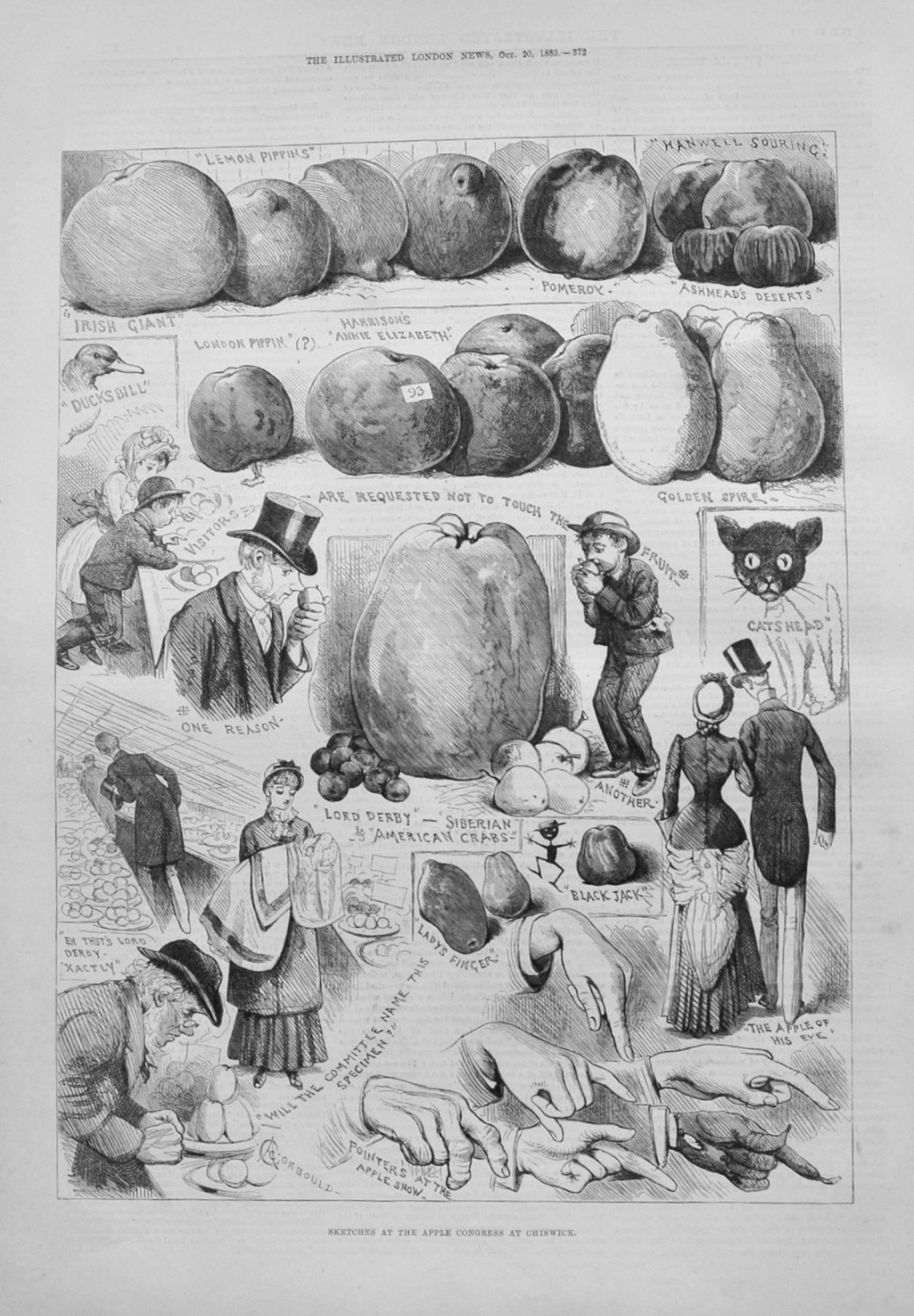 Apple Congress at Chiswick - 1883