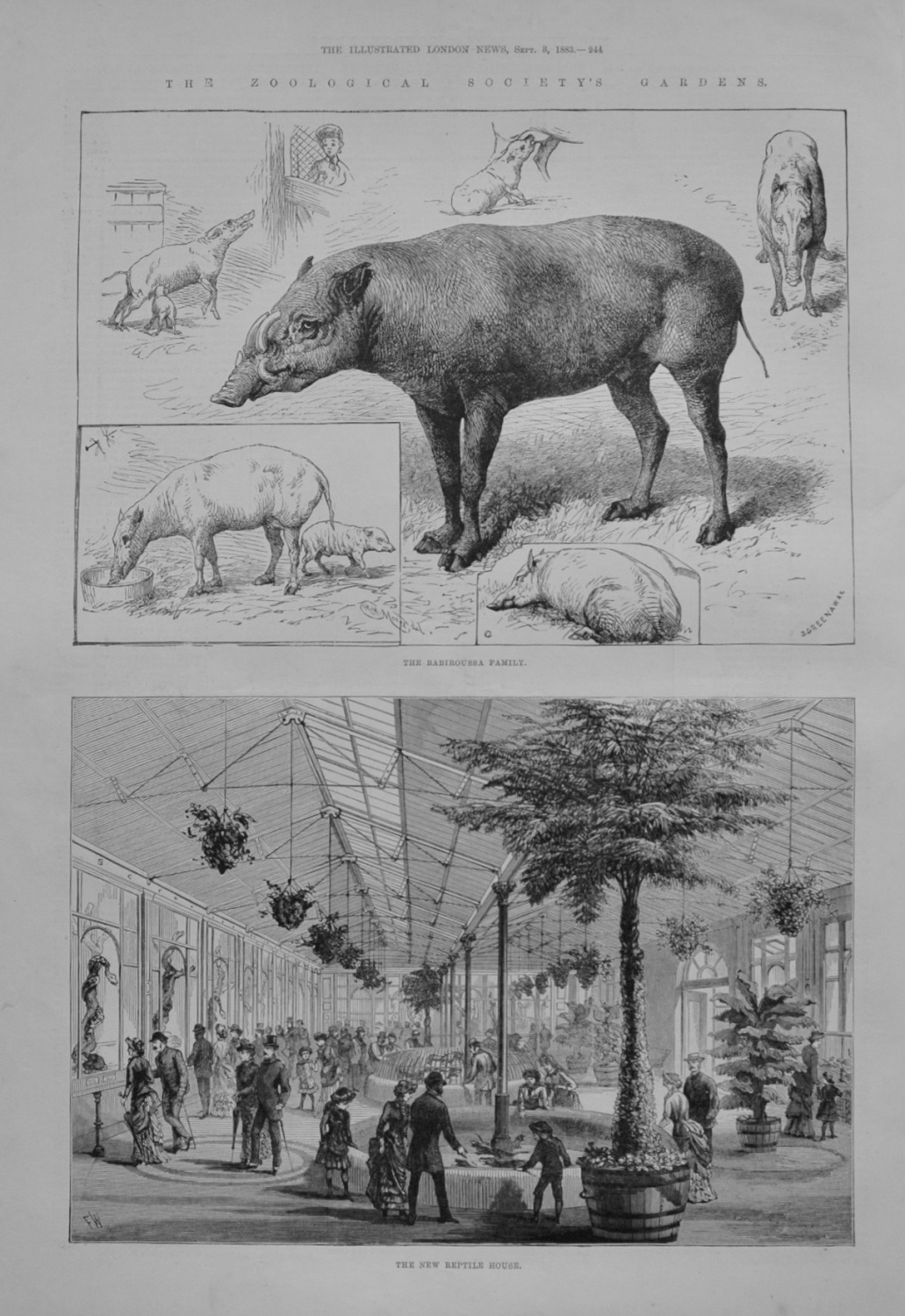 The Zoological Society's Gardens - 1883