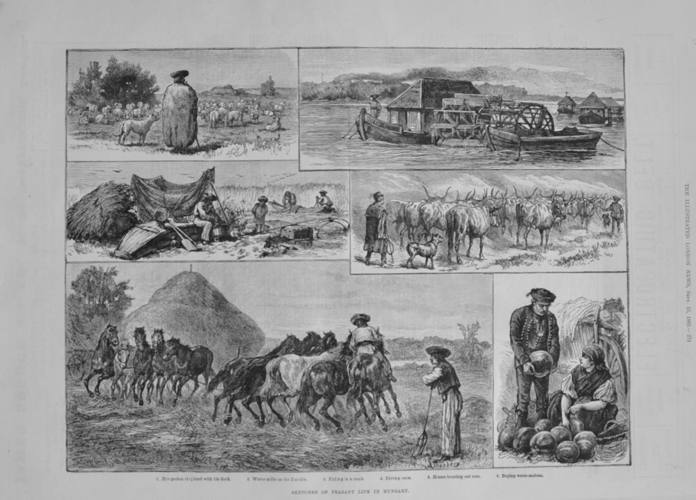 "Peasant Life in Hungary" - 1883