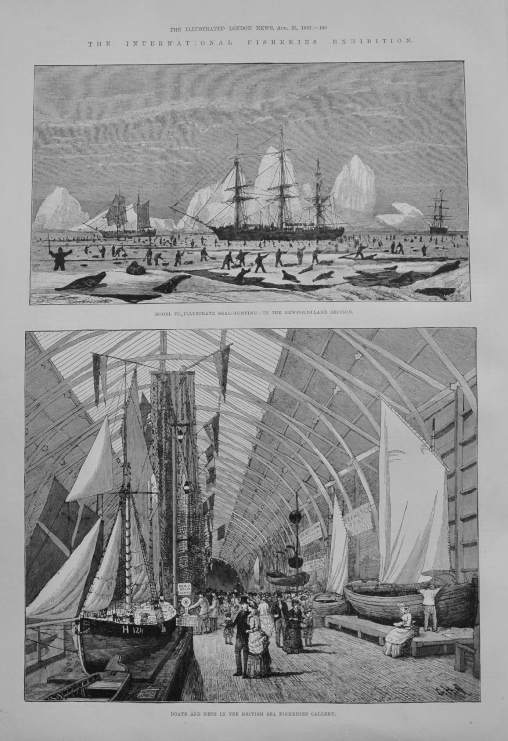 The International Fisheries Exhibition - 1883