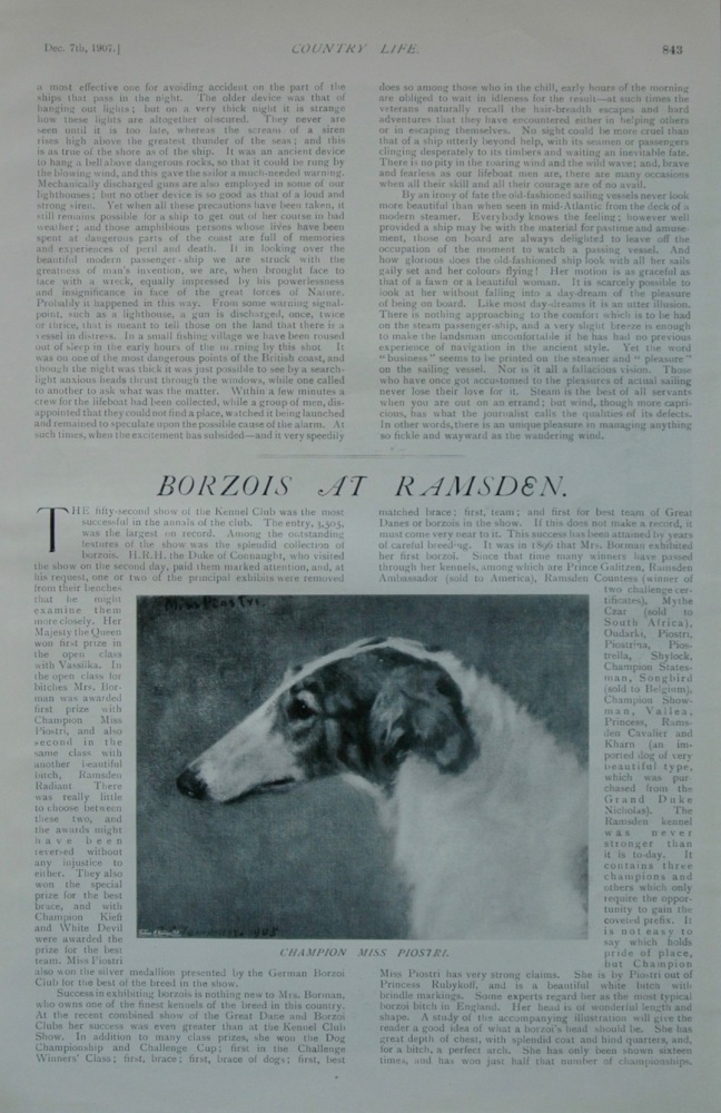 Borzois at Ramsden - 1907