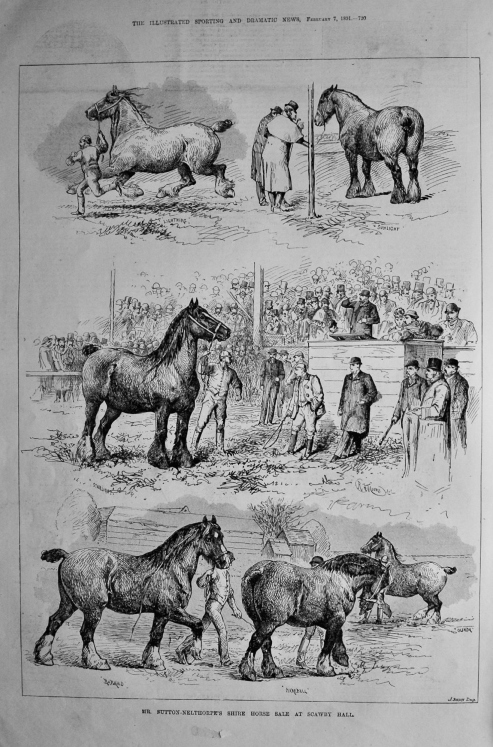 Mr. Sutton-Nelthorpe's Shire Horse Sale at Scawby Hall. 1891.