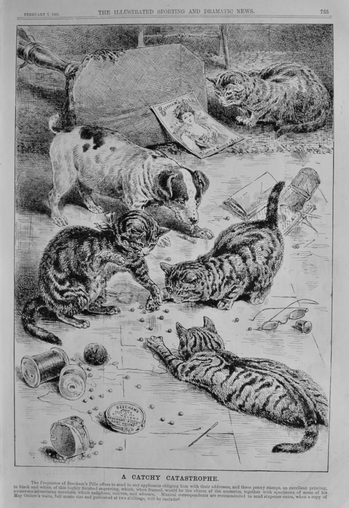 A Catchy Catastrophe.  (Beecham's Pills).  1891.