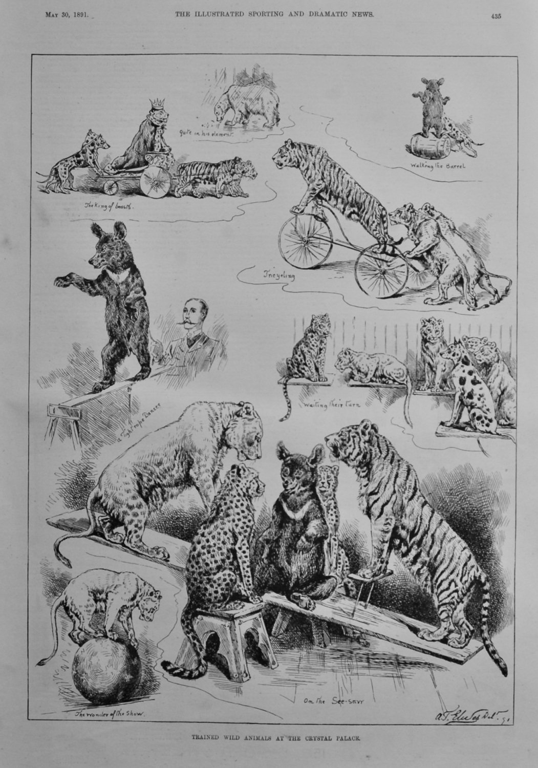 Trained and Wild Animals at the Crystal Palace.  1891.