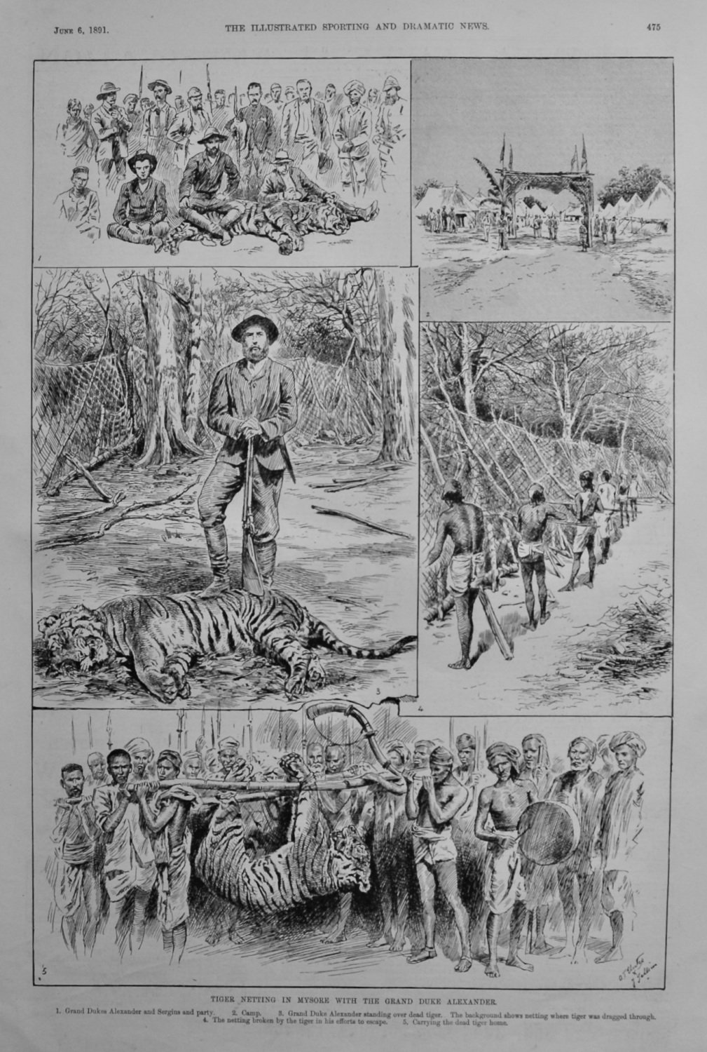 Tiger Netting in Mysore with the Grand Duke Alexander.  1891.