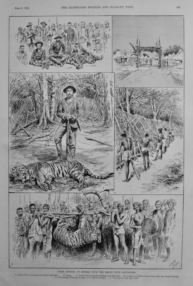 Tiger Netting in Mysore with the Grand Duke Alexander.  1891.