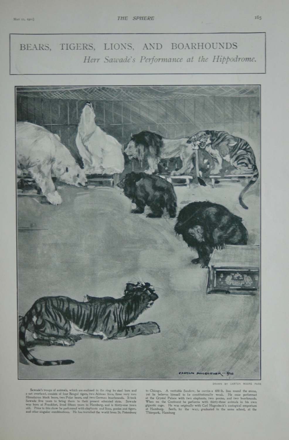 Bears, Tigers, Lions and Boarhounds at the Hippodrome - 1901