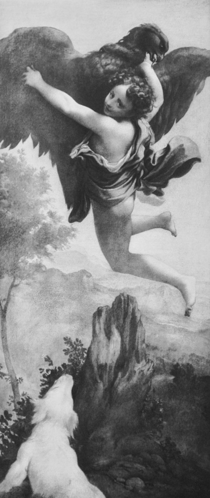 The Rape of Ganymede - Photogravure - 1903