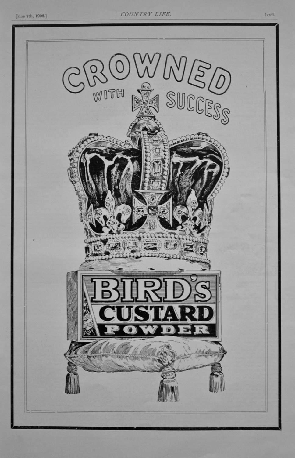 Bird's Custard Powder - Advert - 1902