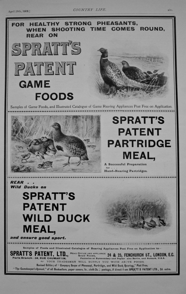 Spratt's Patent Game Foods - Advert - 1902