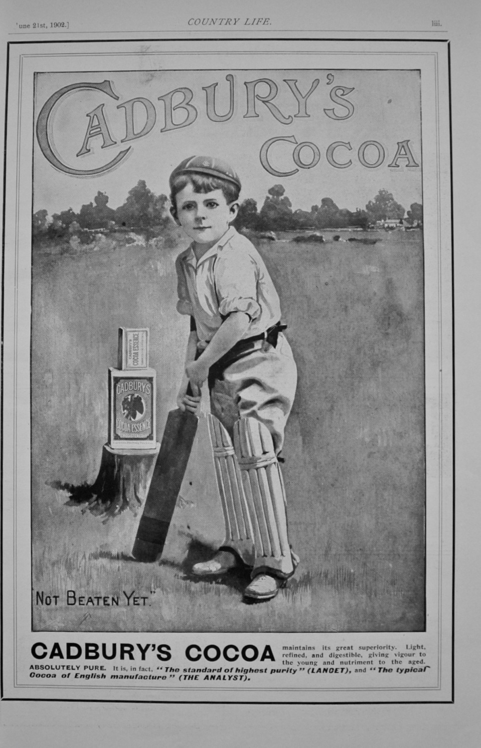 Cadbury's Cocoa - Advert - 1902