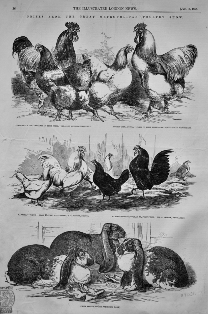 Prizes from the Great Metropolitan Poultry Show. 1853.