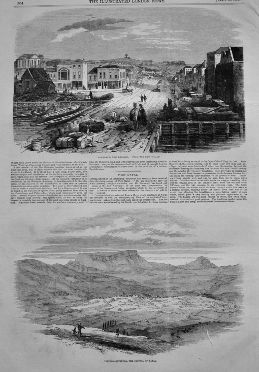 New Zealand. &  Port Natal.   1853.