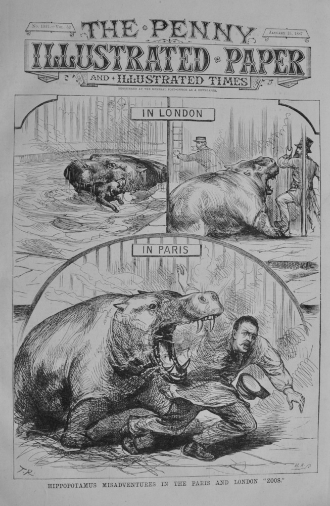 Hippopotamus Misadventures in the Paris and London "Zoos" - 1887