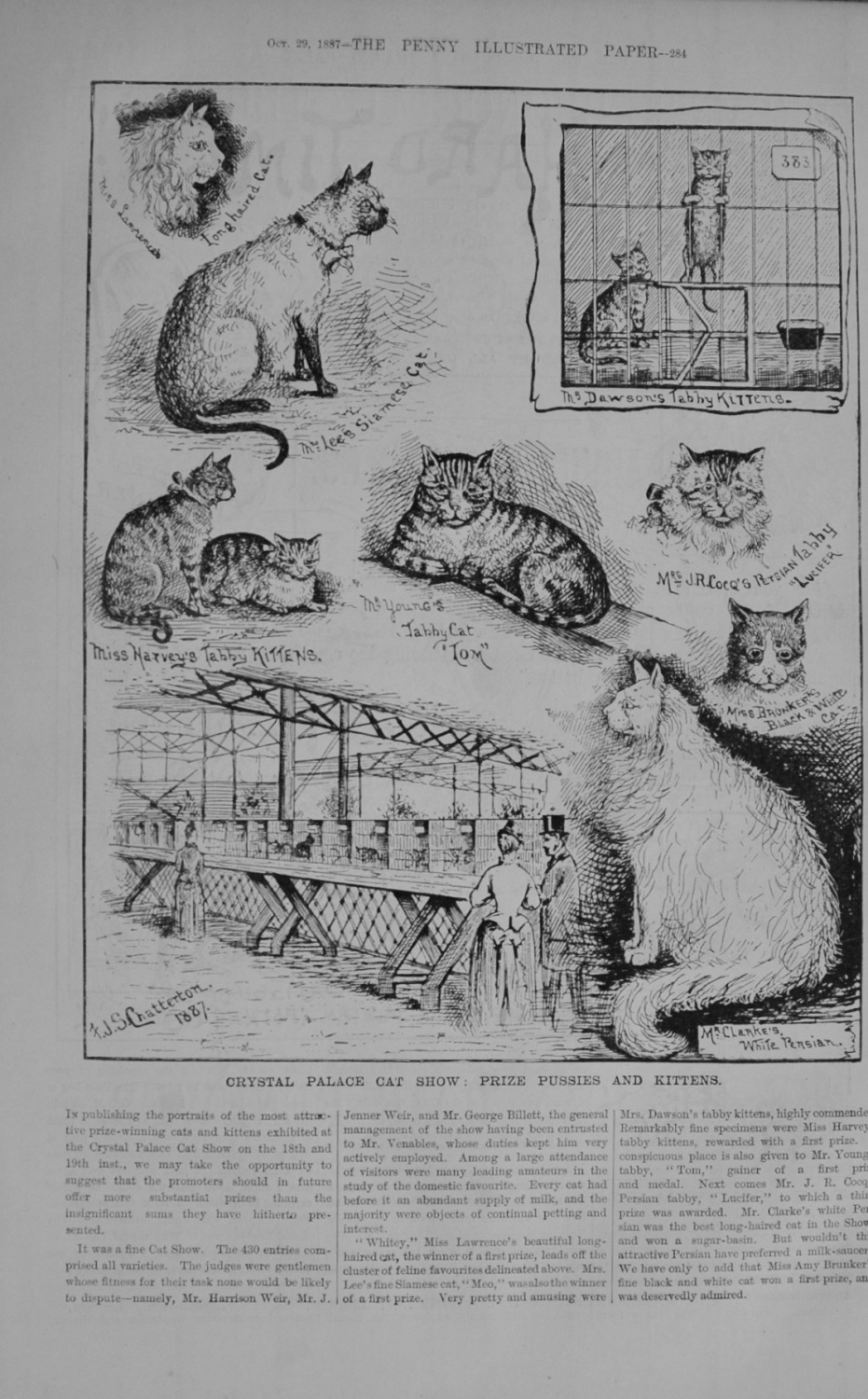 Crystal Palace Cat Show - 1887