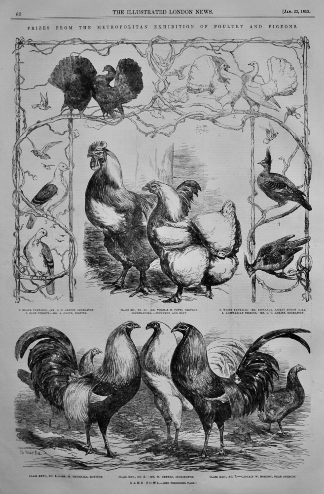 Prizes from the Metropolitan Exhibition of Poultry and Pigeons.  1853.