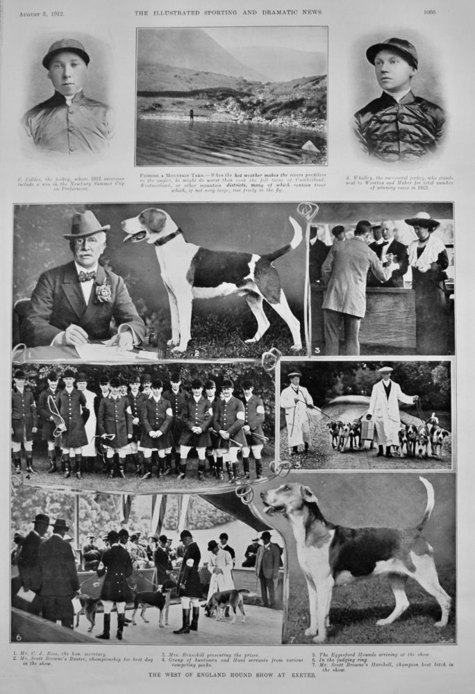 The West of England Hound Show at Exeter.  1912.