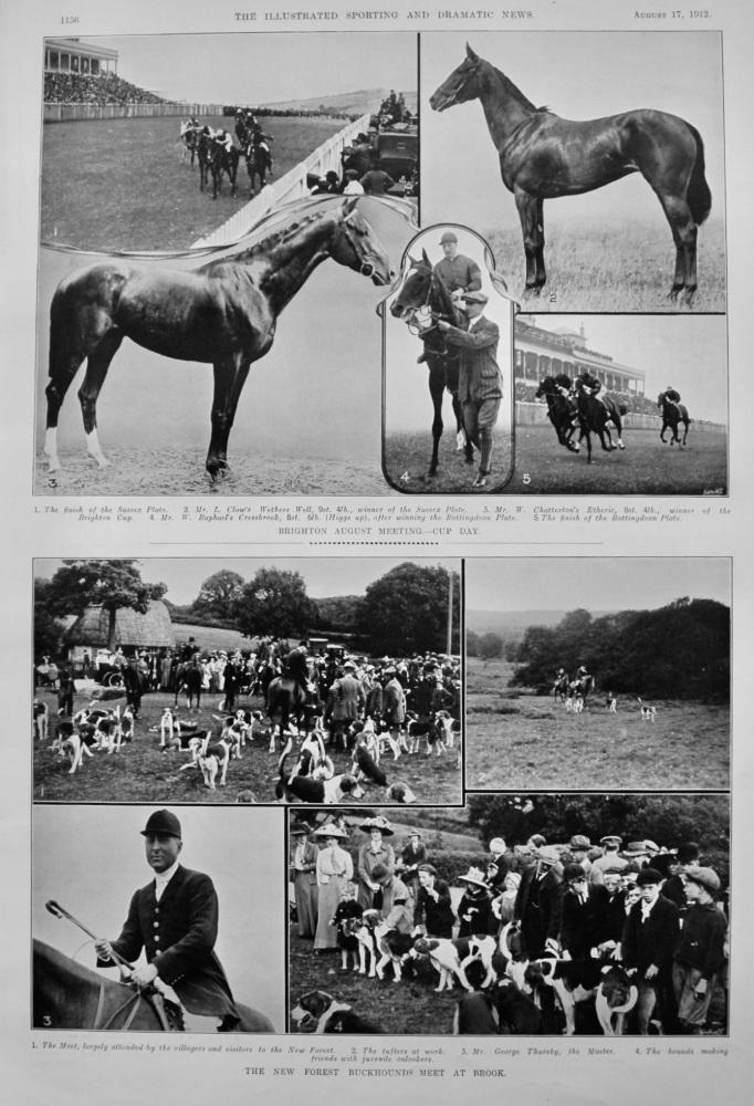 The New Forest Buckhounds Meet at Brook.  1912.