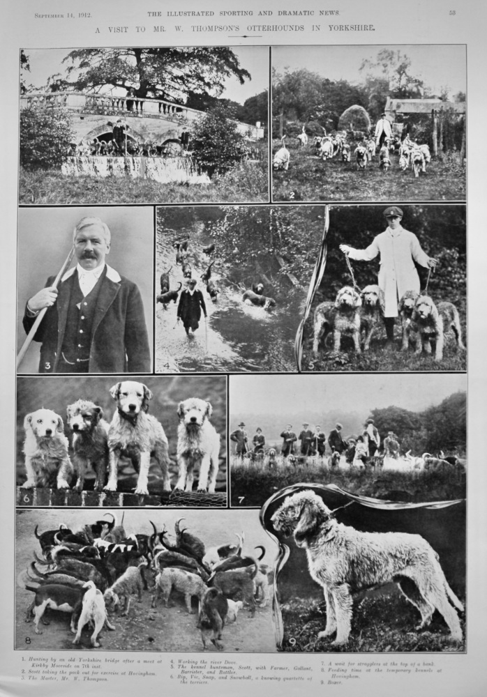 A Visit to Mr. W. Thompson's Otterhounds in Yorkshire.  1912.