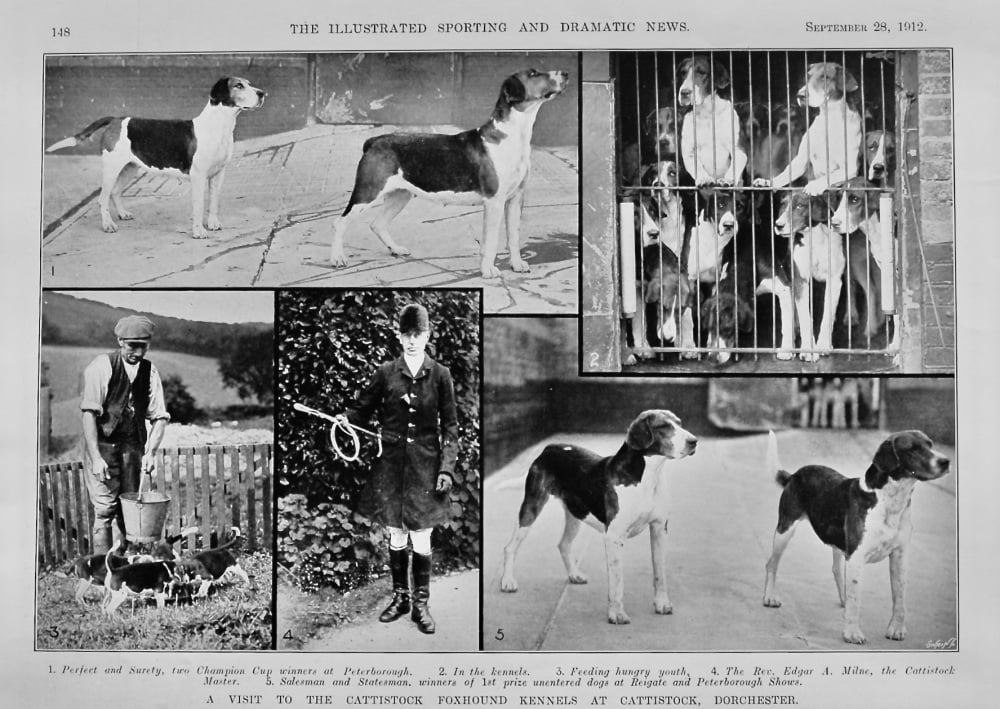 A Visit to the Cattistock Foxhound Kennels at Cattistock, Dorchester.  1912.
