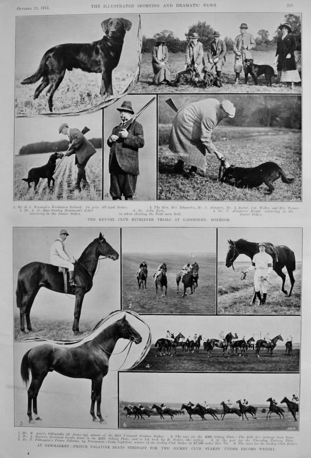 The Kennel Club Retriever Trials at Gaddesden, Boxmoor.  1912.