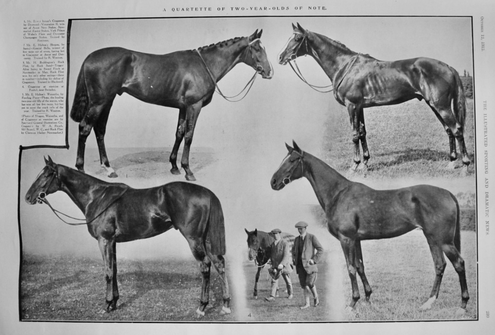 A Quartette of Two-Year-Olds of Note.  1912.