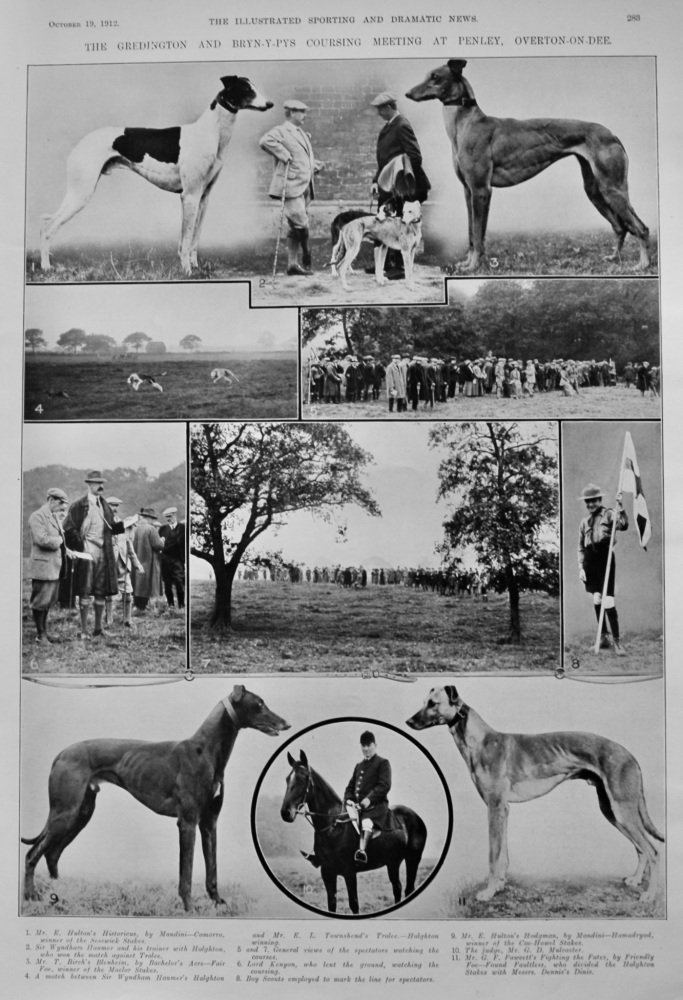 The Gredington and Bryn-y-Pys Coursing Meeting at Penley, Overton-on-Dee.  1912.
