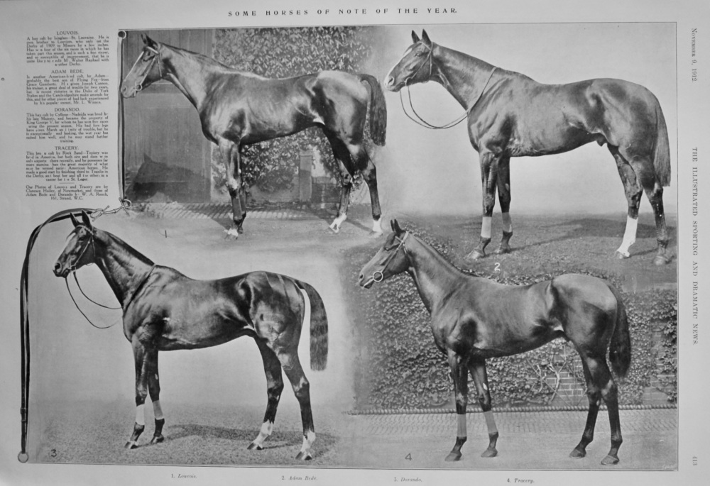Some Horses of Note of the Year.  1912.