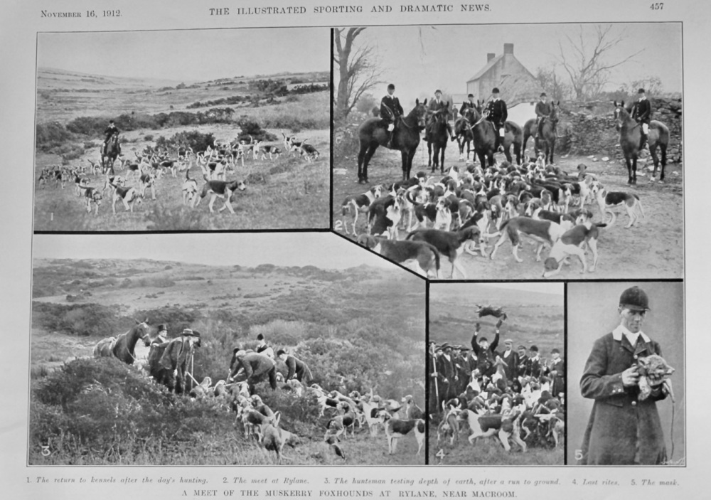 A Meet of the Muskerry Foxhounds at Rylane, near Macroom.  1912.
