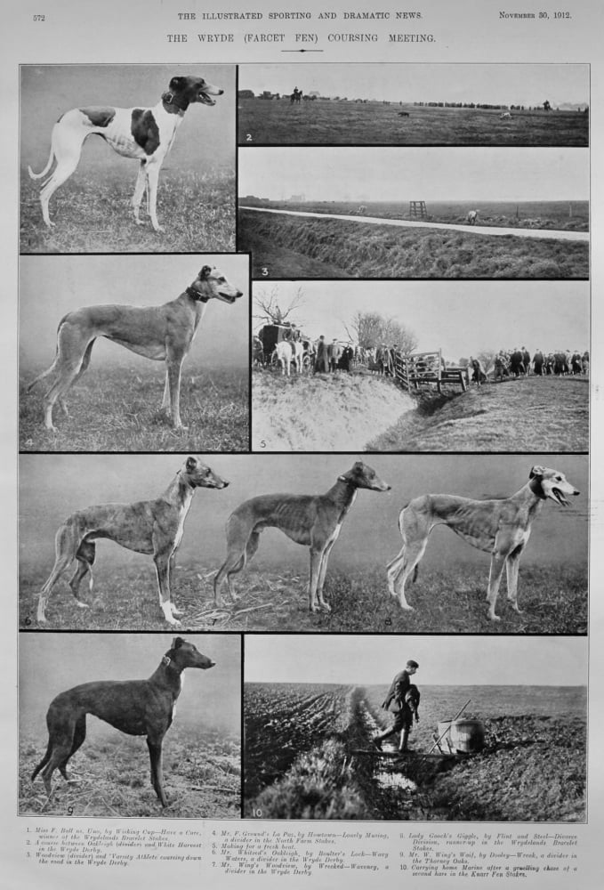 The Wryde (Farcet Fen) Coursing Meeting.  1912.