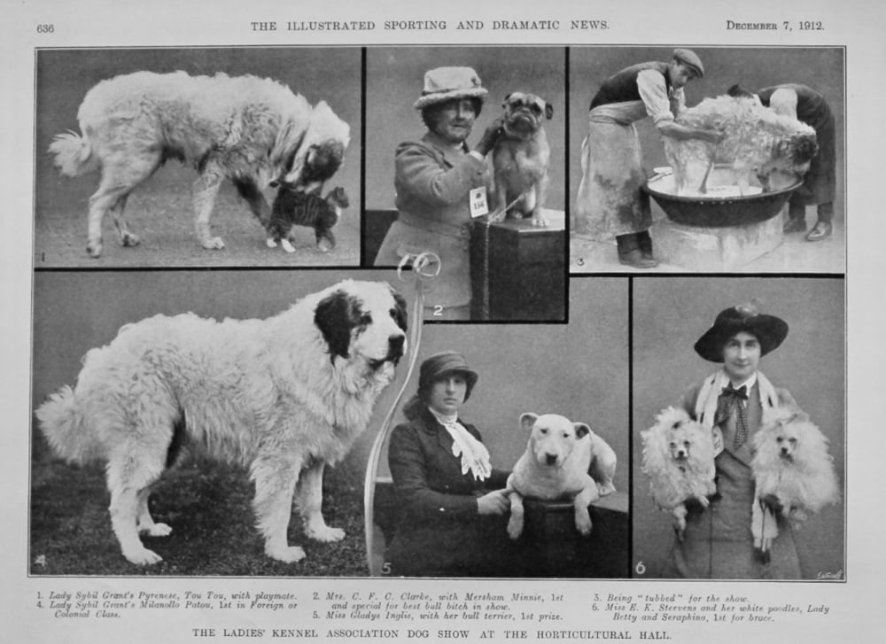 The Ladies Association Dog Show at the Horticultural Hall.  1912.