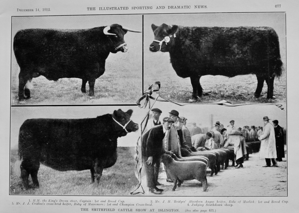 The Smithfield Cattle Show at Islington.  1912.