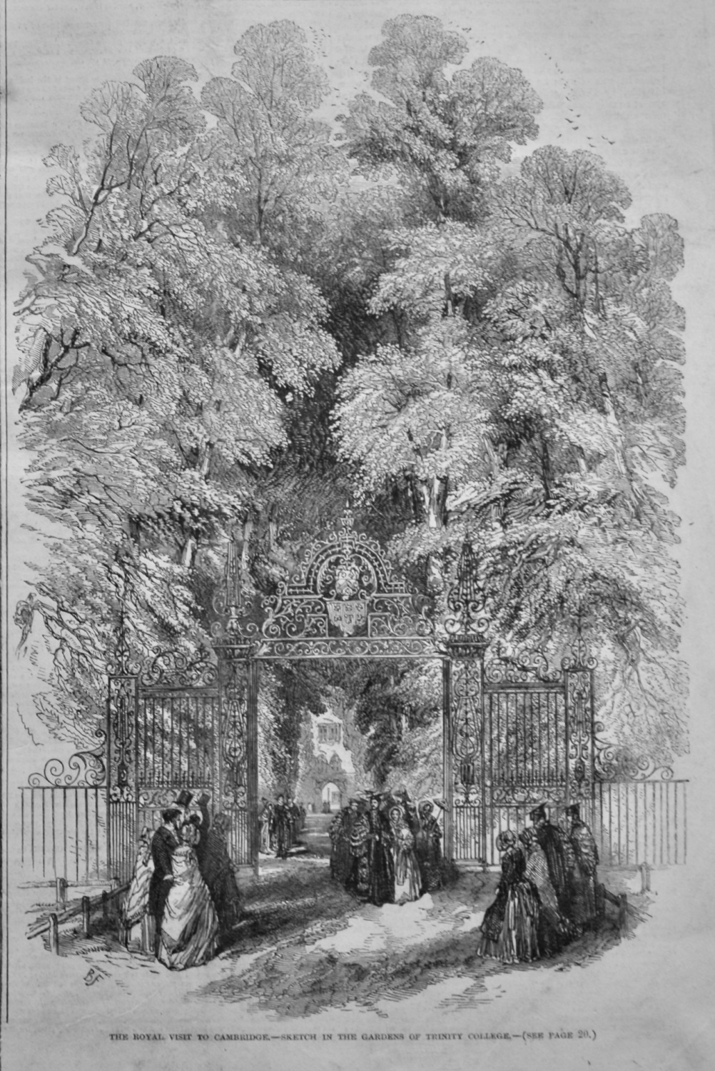 The Royal Visit to Cambridge.-Sketch in the Gardens of Trinity College.  18