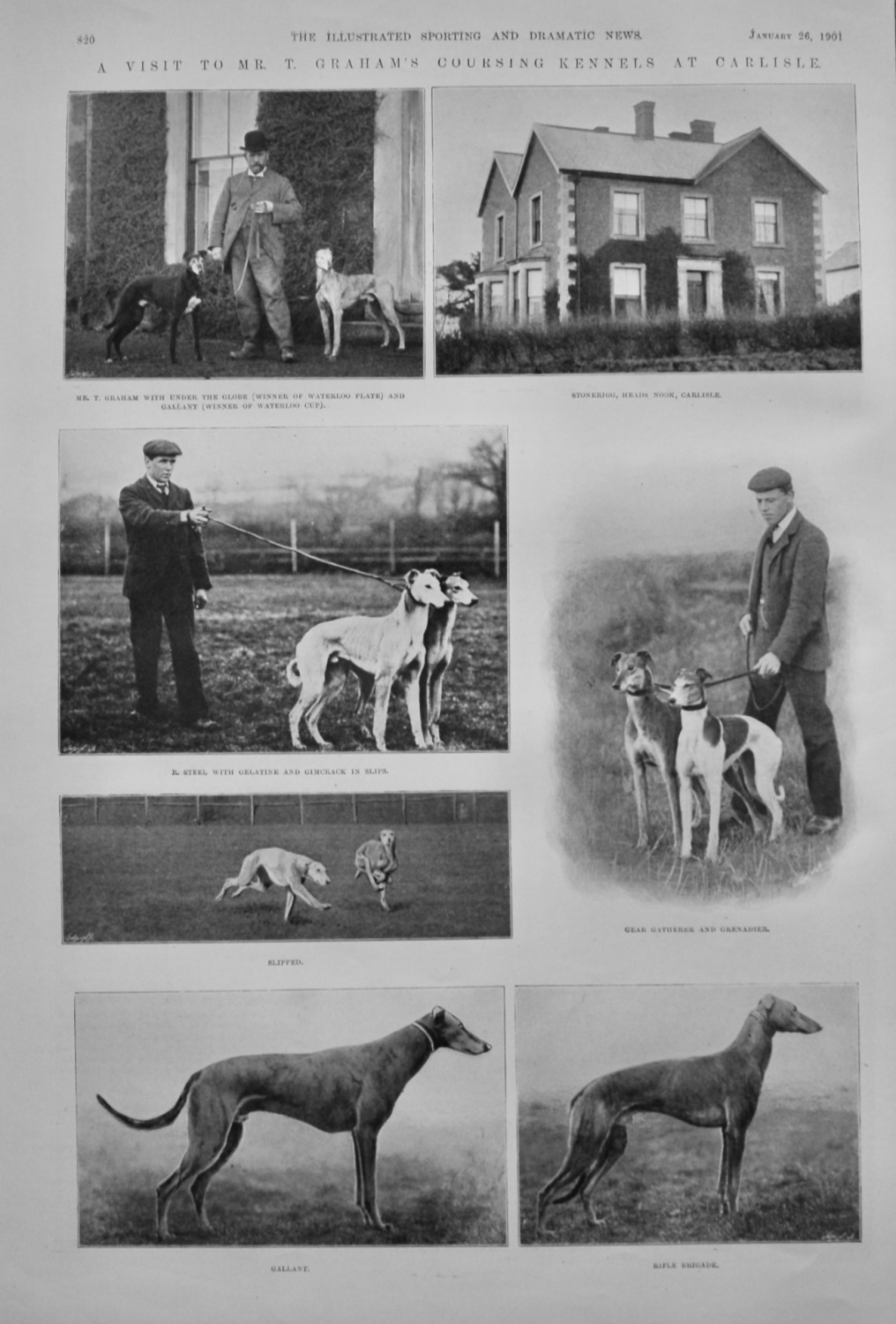 A Visit to Mr. T. Graham's Coursing Kennels at Carlisle.  1901.