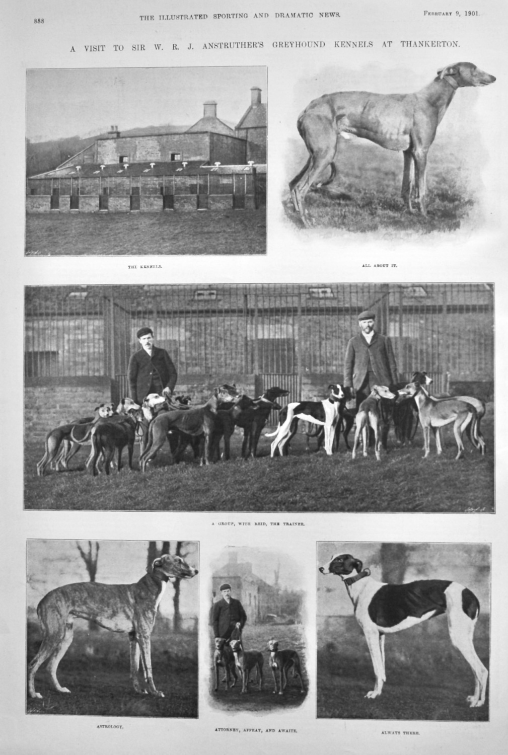 A Visit to Sir W. R. J. Anstruther's Greyhound Kennels at Thankerton.  1901